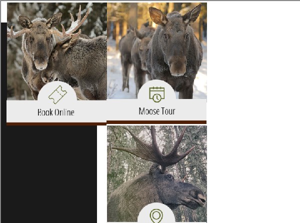 moose-world.jpg